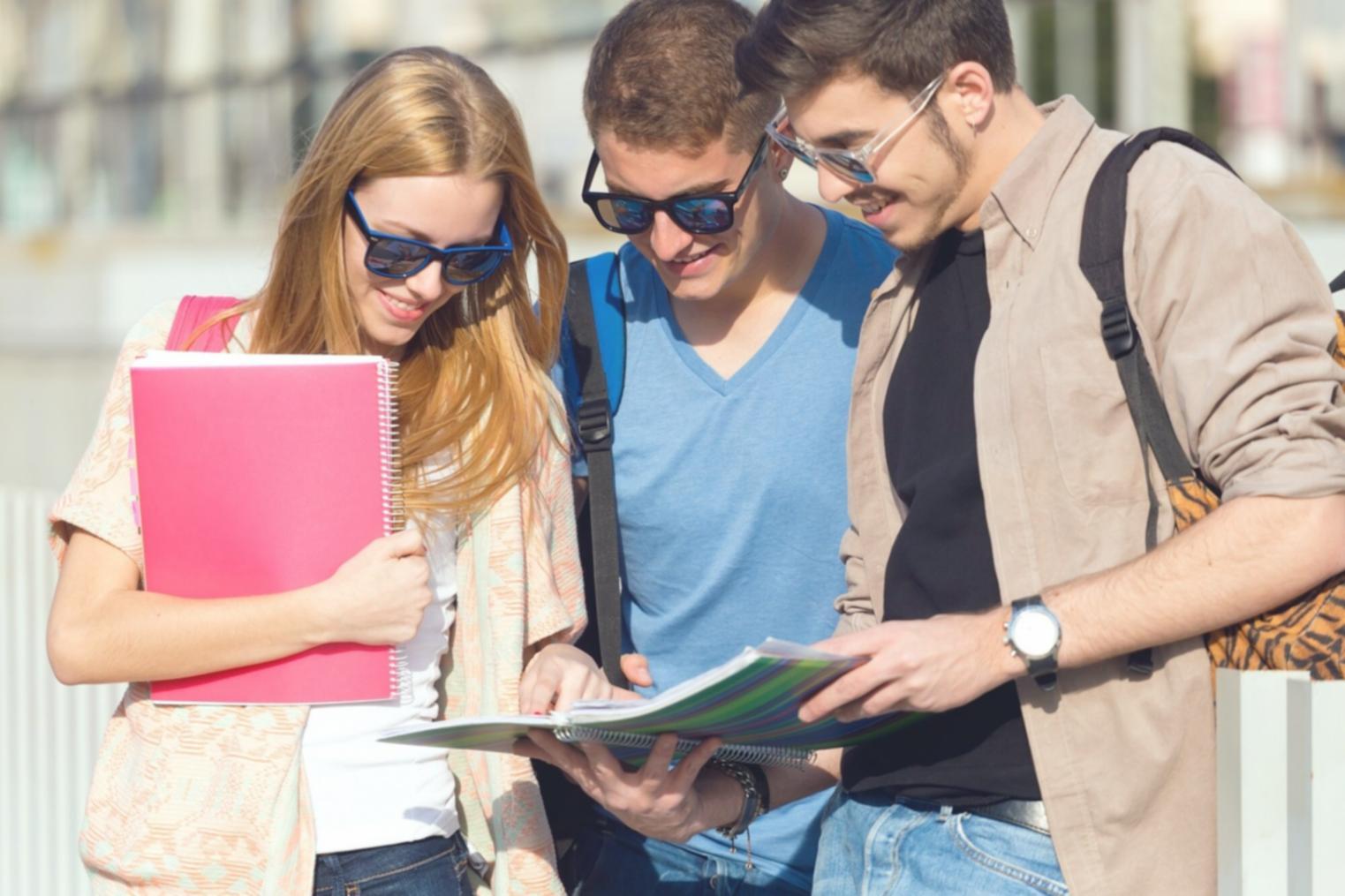 Professional reviewing financial forecasting analysis